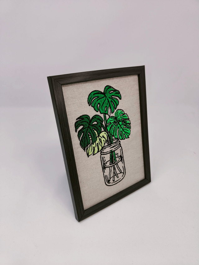 Monstera